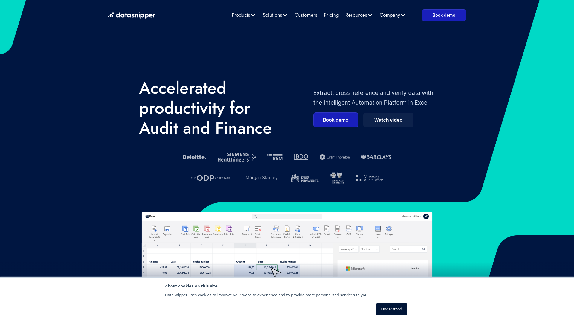 DataSnipper Hero