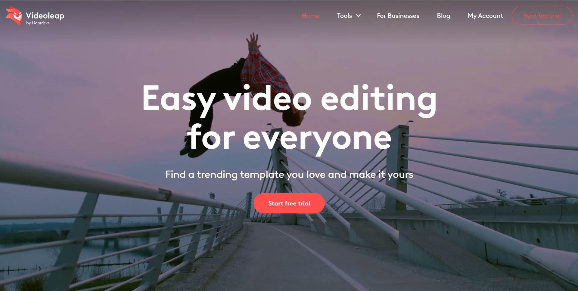 Videoleap Hero